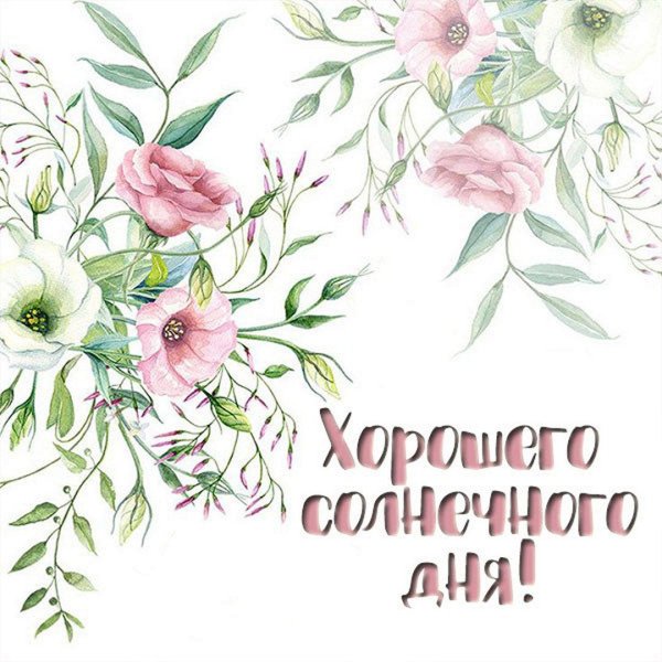 акварельные цветы