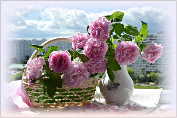 ирина приходько фотонатюрморты