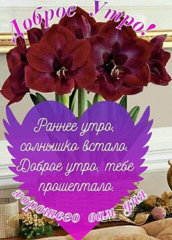 доброго здравия с утра