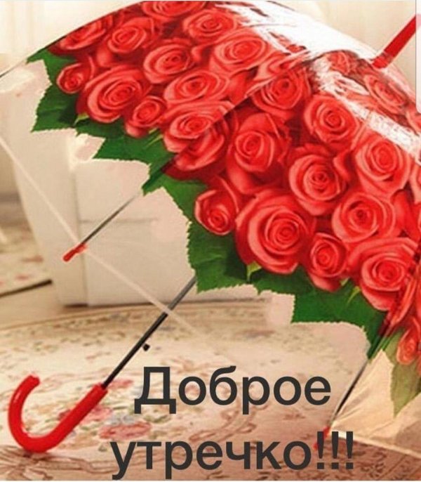 прозрачный зонтик