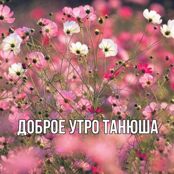 доброе утро танечка