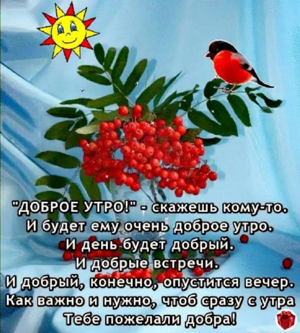 красная рябина