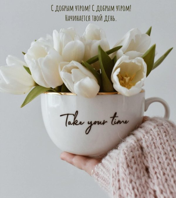 доброе весеннее утро позитивные пожелания