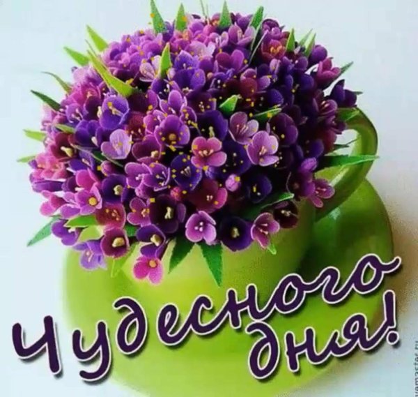 доброе утро красивые букеты