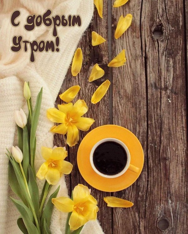 доброго утра весна