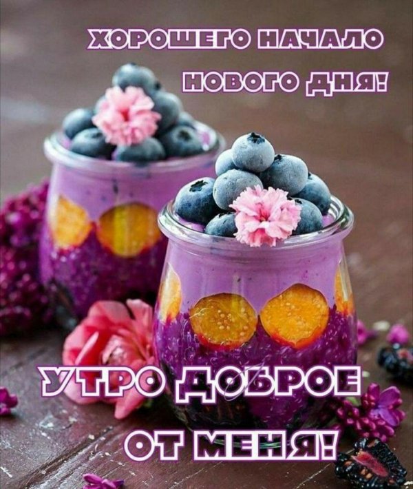 с добрым утром красивые необычные