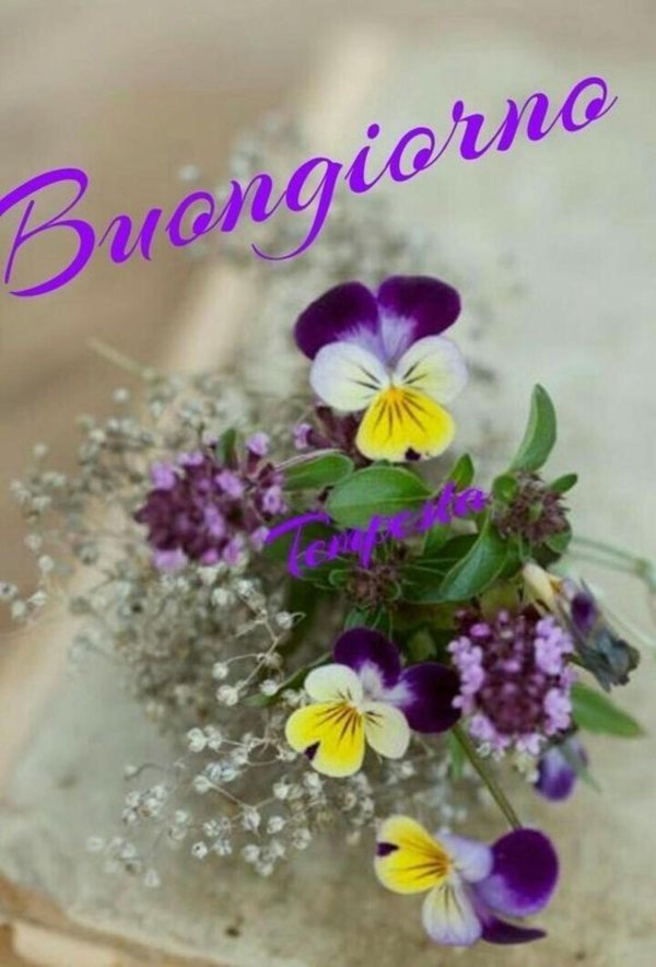 доброе утро на итальянском