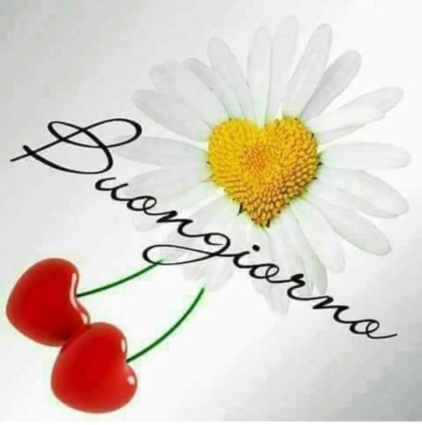 buongiorno buonanotte