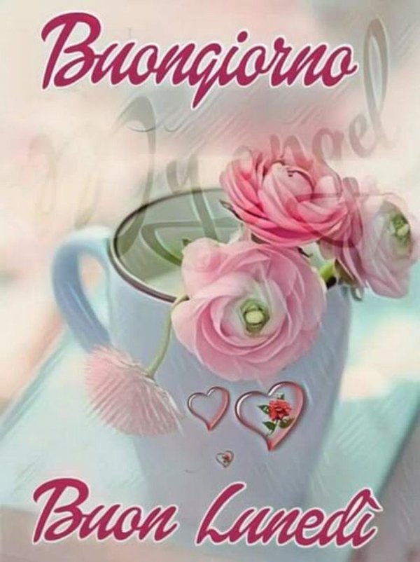 buona giornata