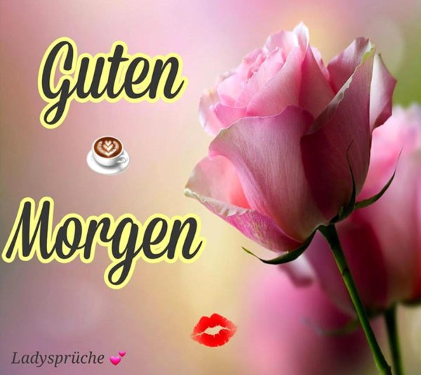 гутен морген