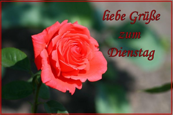 herzlichen glückwunsch zum geburtstag