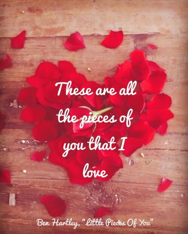 любовь цветы