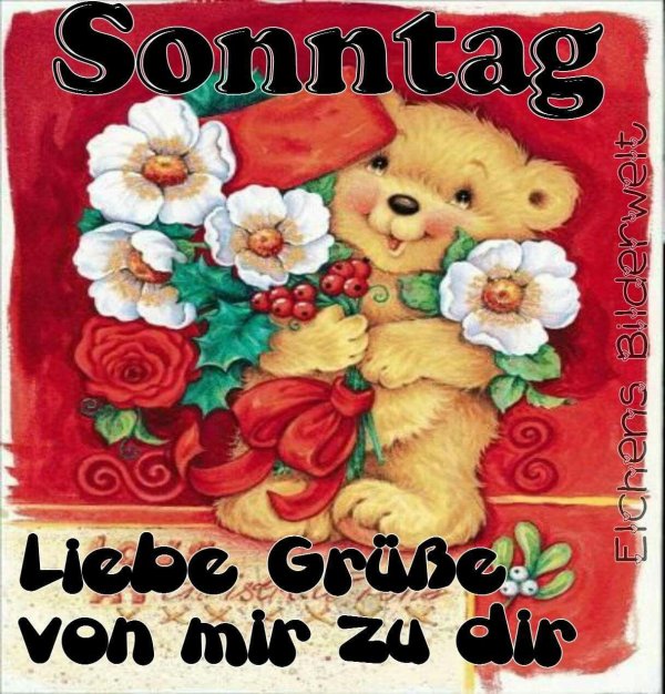 schönen sonntag
