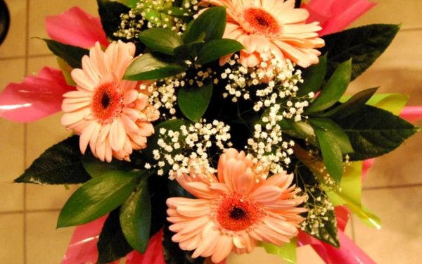 букет гербер