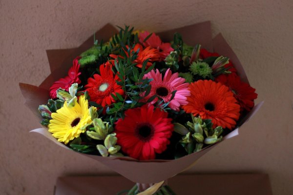 букет гербер