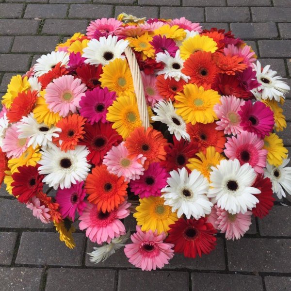 корзина с герберами