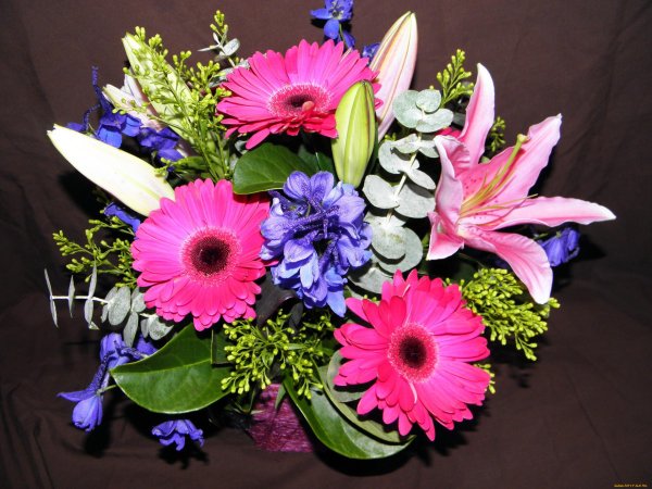 цветы букеты композиции