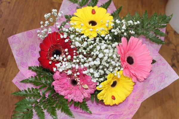 букеты с герберой и гипсофилой