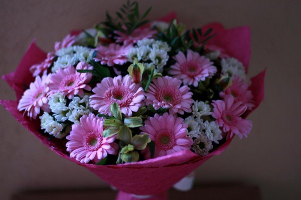 герберы и хризантемы