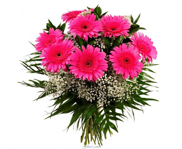 гербера букет