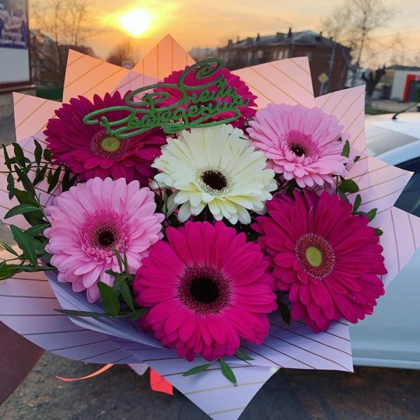 гербера букет