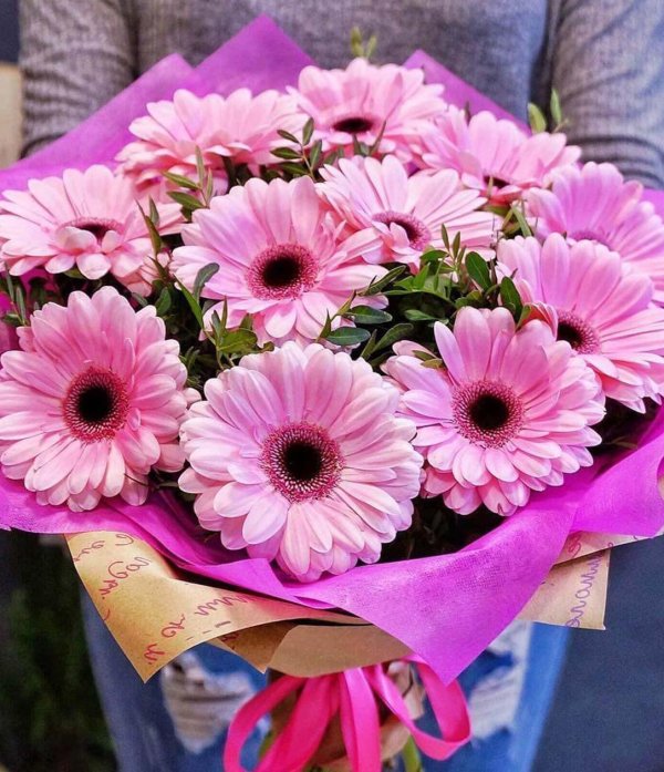 нежная гербера