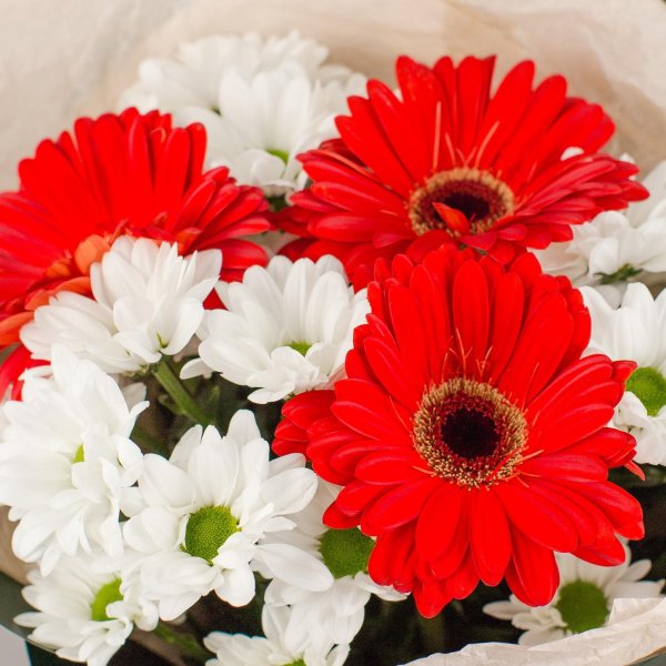 герберы и хризантемы