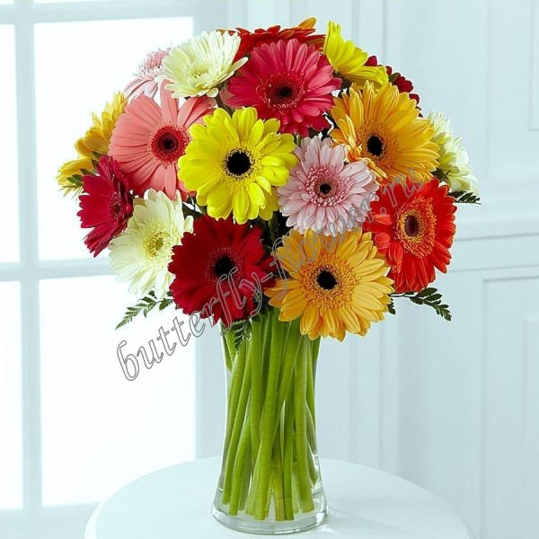 монобукет  герберы