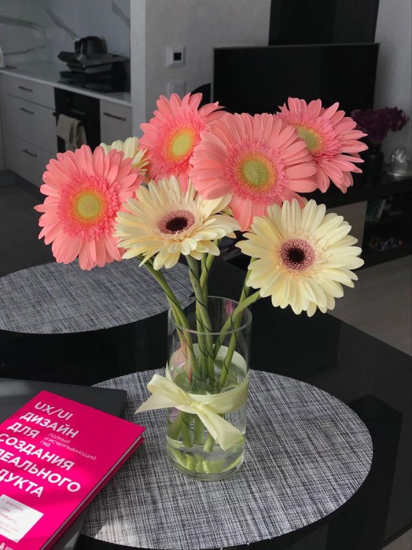 гербера розовая