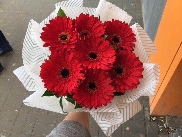 монобукет  герберы