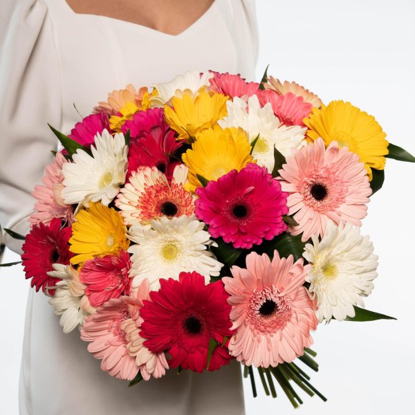 гербера букет