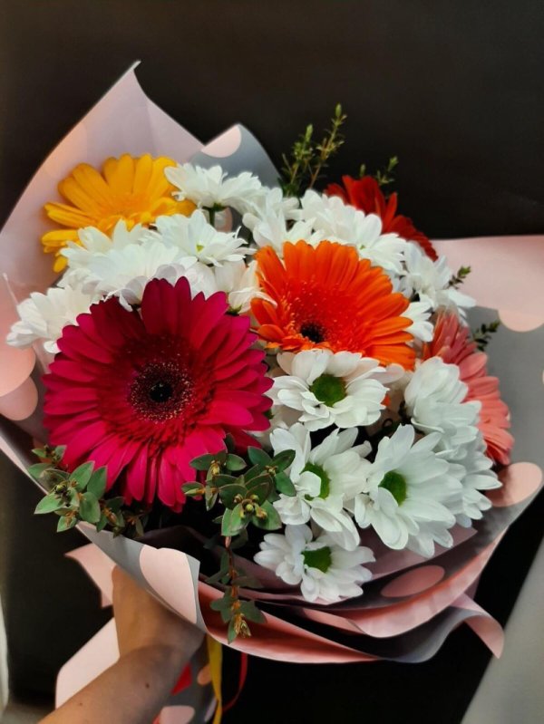 монобукет  герберы
