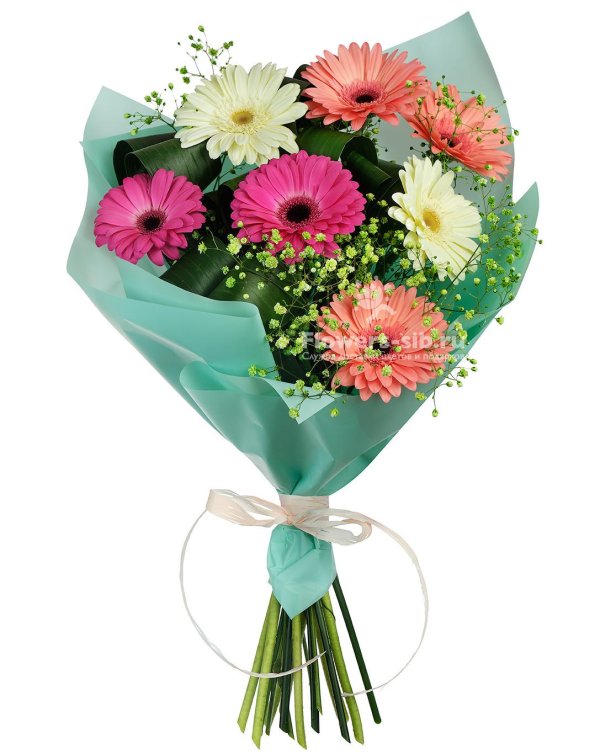 букет с герберами  19шт