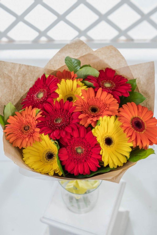 монобукеты из гербер