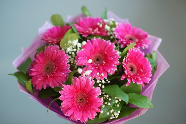 букет гербер