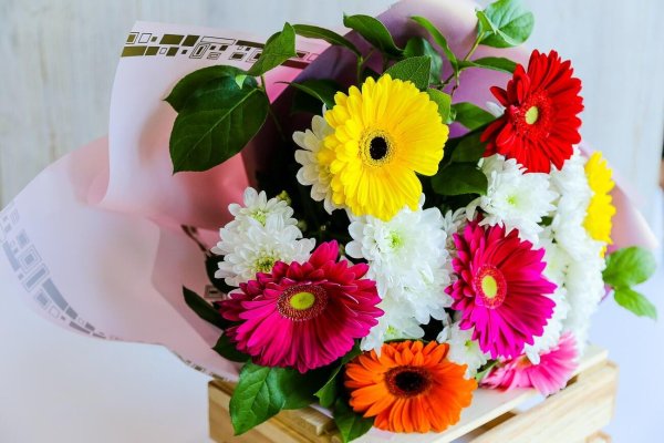 хризантемы и герберы