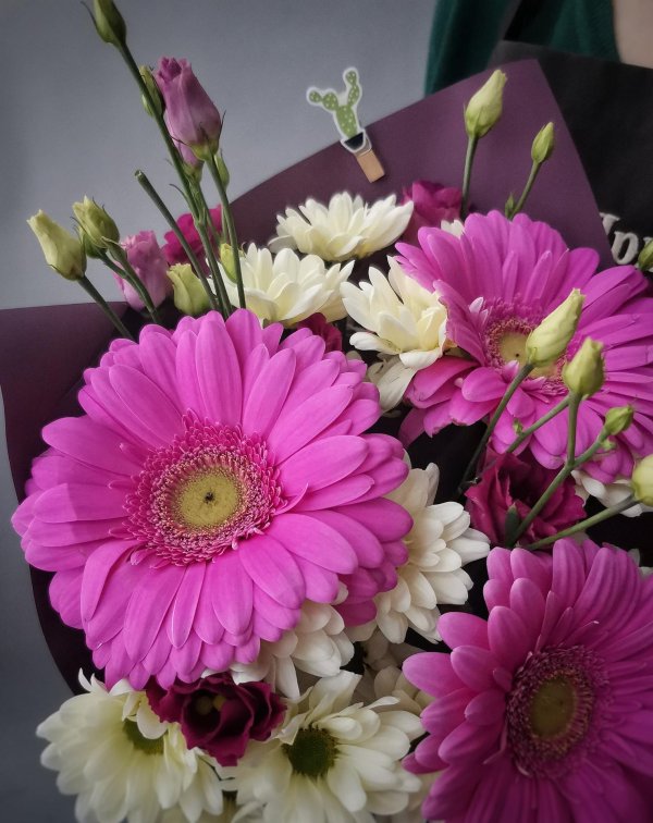 герберы и хризантемы