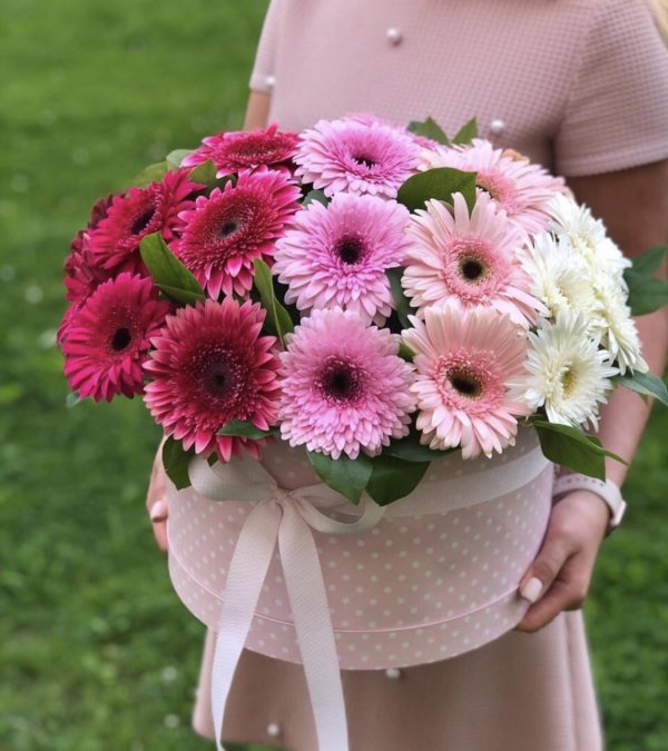 герберы в коробках