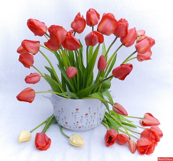 букет тюльпанов в вазе