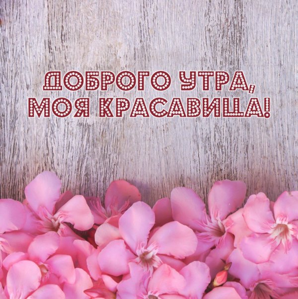 доброго утра любимая