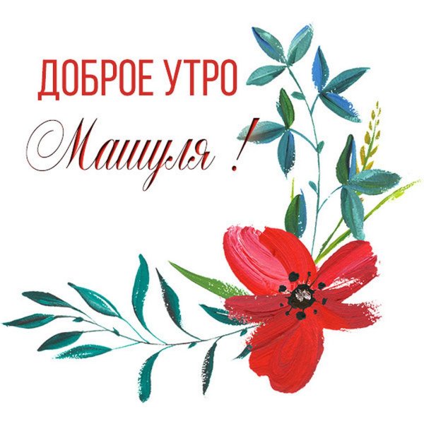 цветок мака рисунок