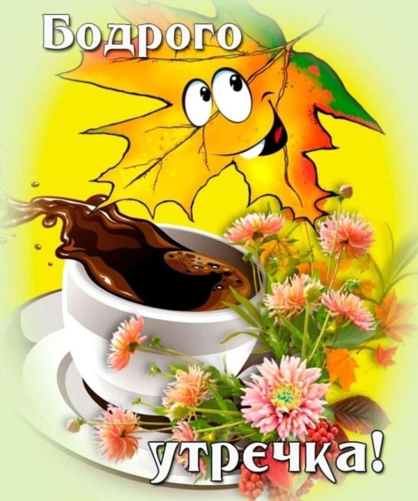 бодрого утречка