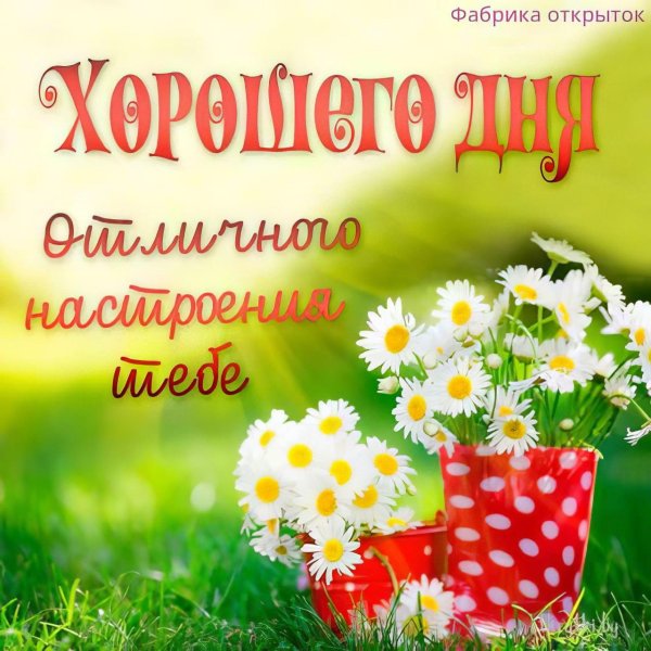 хорошего дня и отличного