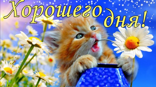 открытка хорошего дня