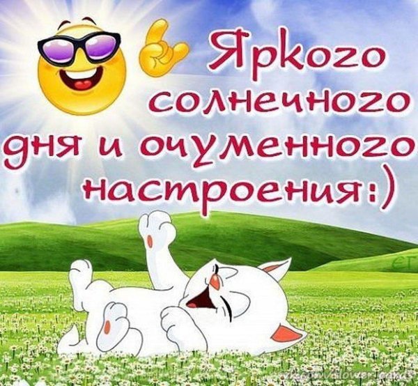 настроение на весь день