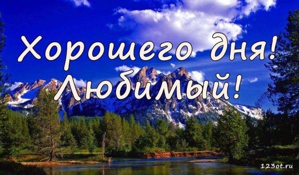 открытка любимая