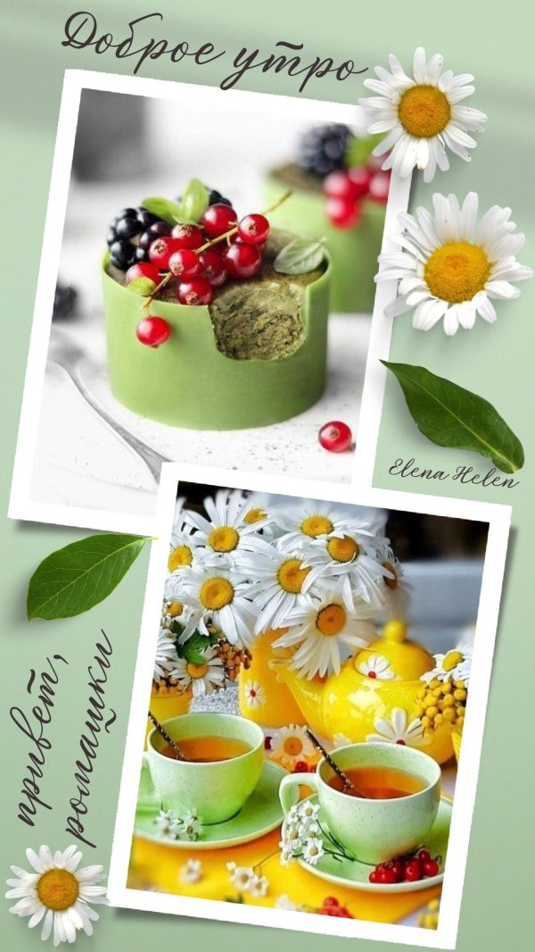 летнего утра