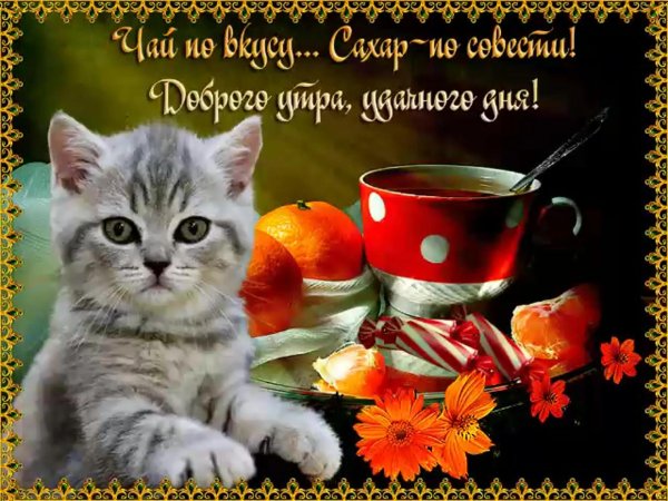 утро открытки доброе