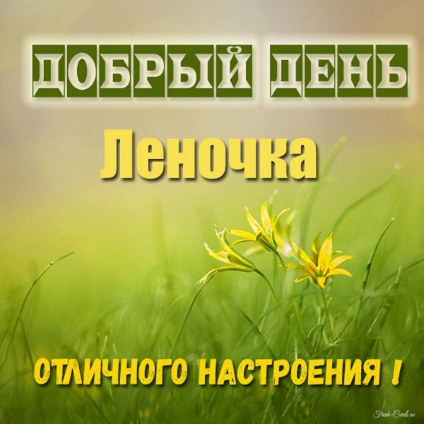 добрый день андрей