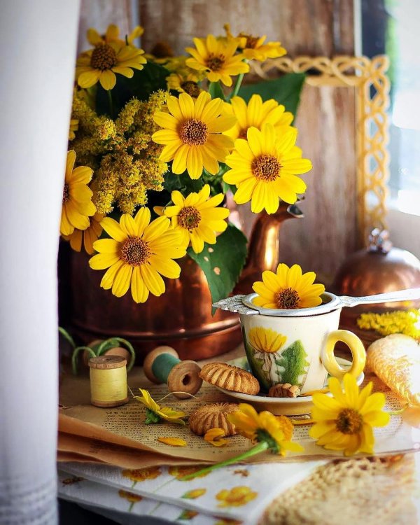 солнечный натюрморт